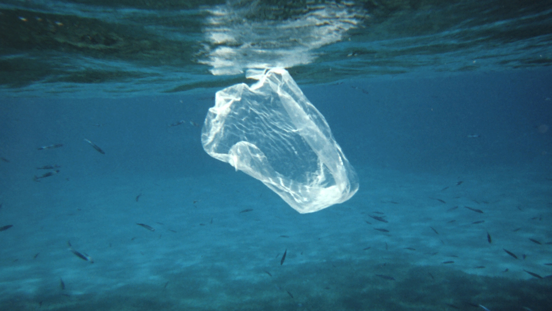 Mar Plastico