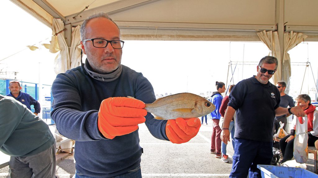 Trofeo Navidad 2018 - Club Náutico Campello