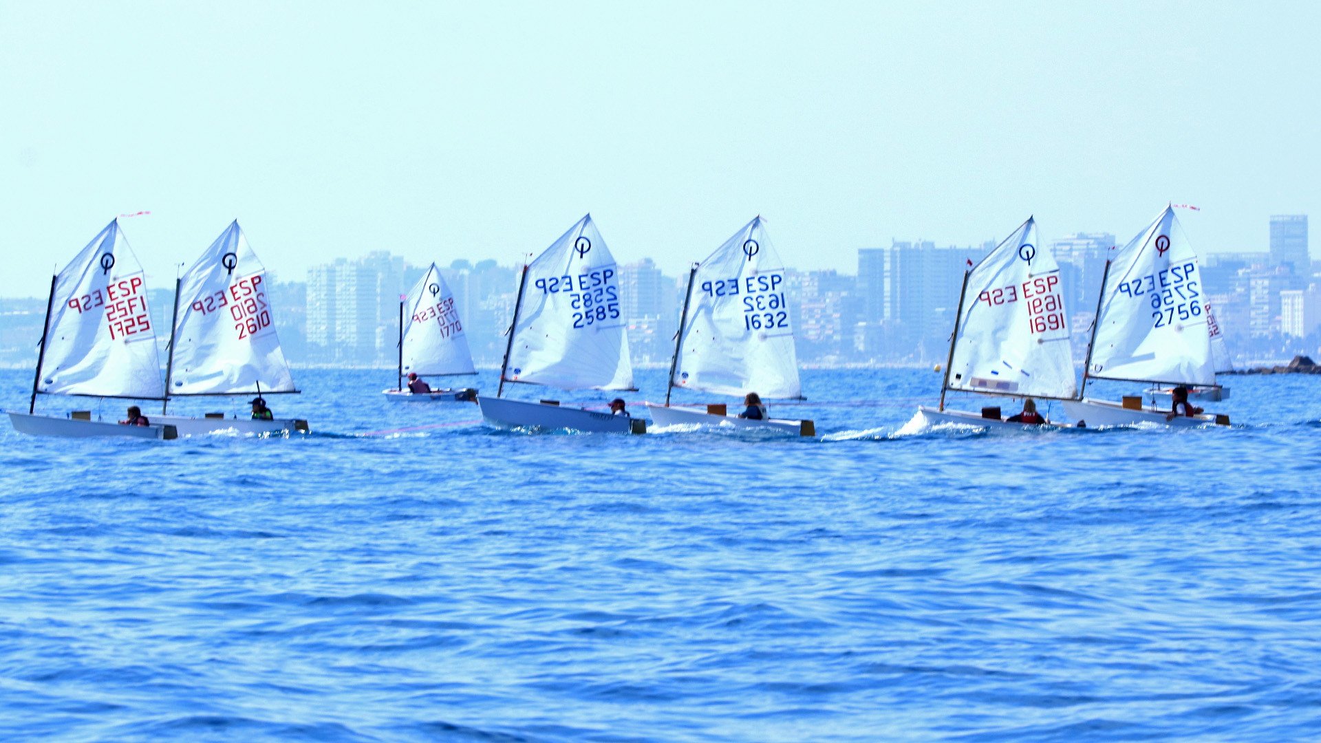 Vela Infantil - Club Náutico Campello