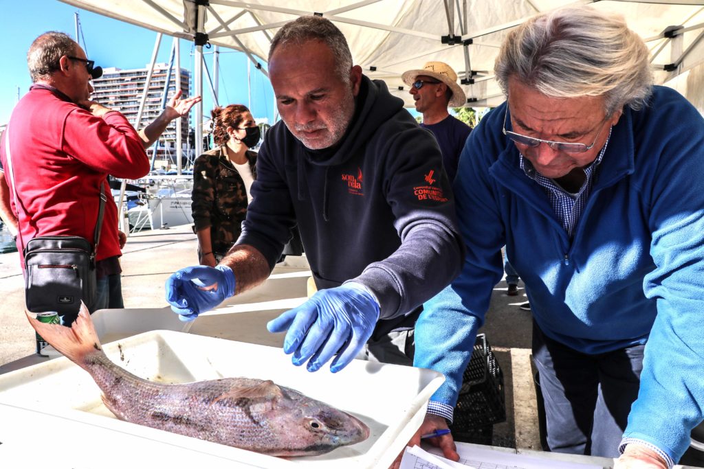 pesca al volantín