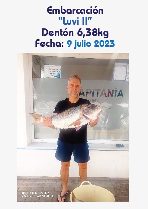 pieza mayor