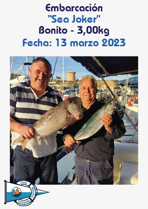 pieza mayor
